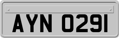 AYN0291