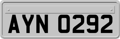 AYN0292
