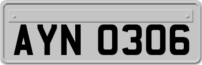 AYN0306