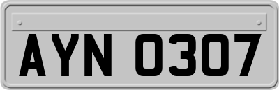AYN0307