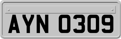 AYN0309