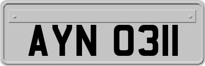 AYN0311