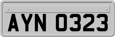 AYN0323