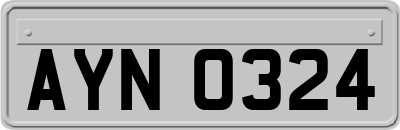 AYN0324