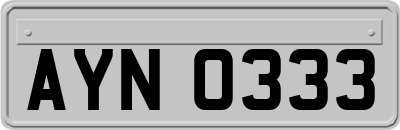 AYN0333