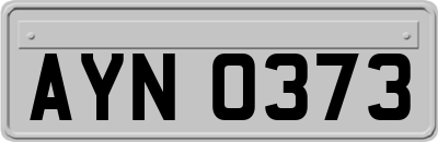 AYN0373