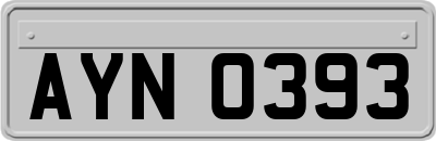 AYN0393