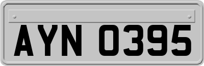 AYN0395