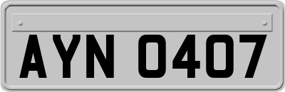 AYN0407