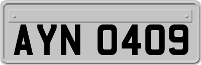AYN0409