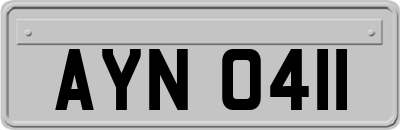 AYN0411