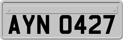 AYN0427