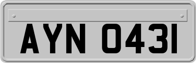 AYN0431