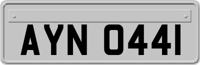 AYN0441