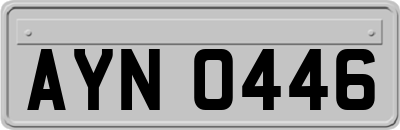 AYN0446