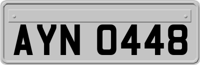 AYN0448