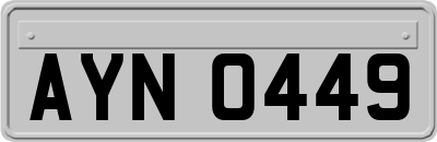AYN0449