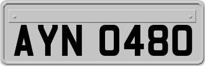 AYN0480