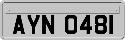 AYN0481