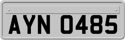 AYN0485