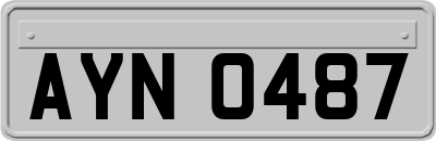 AYN0487