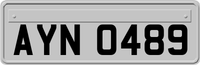 AYN0489