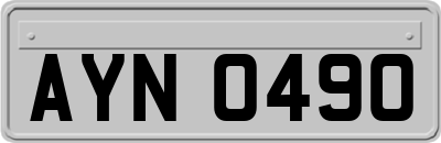 AYN0490