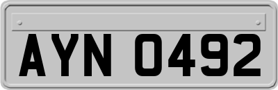 AYN0492