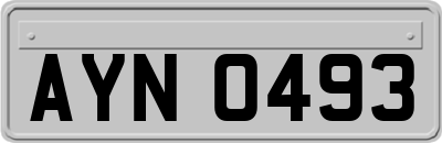 AYN0493