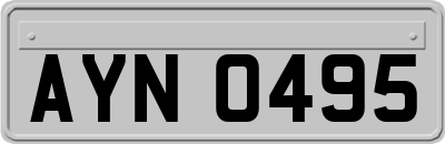 AYN0495
