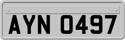AYN0497
