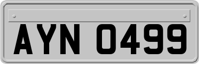 AYN0499