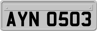 AYN0503