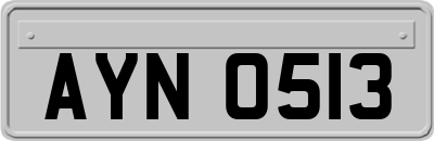 AYN0513