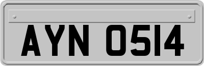 AYN0514