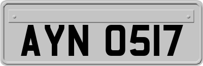 AYN0517