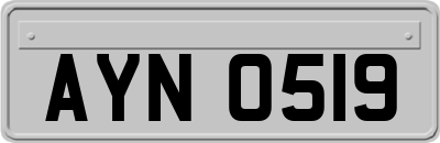 AYN0519