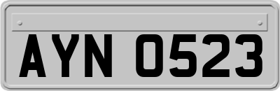 AYN0523