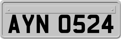 AYN0524