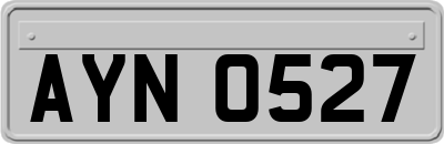 AYN0527