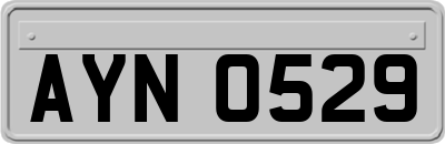 AYN0529