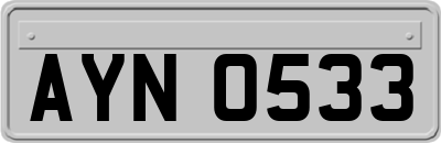 AYN0533