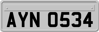 AYN0534