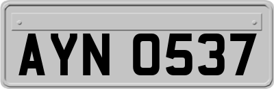 AYN0537