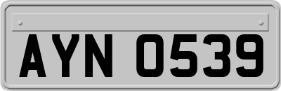 AYN0539