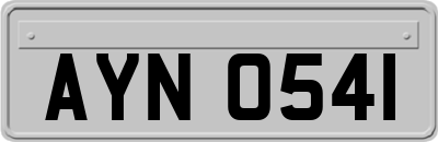 AYN0541