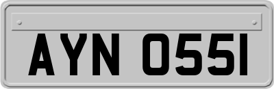 AYN0551