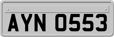 AYN0553