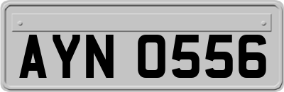 AYN0556