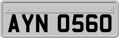 AYN0560